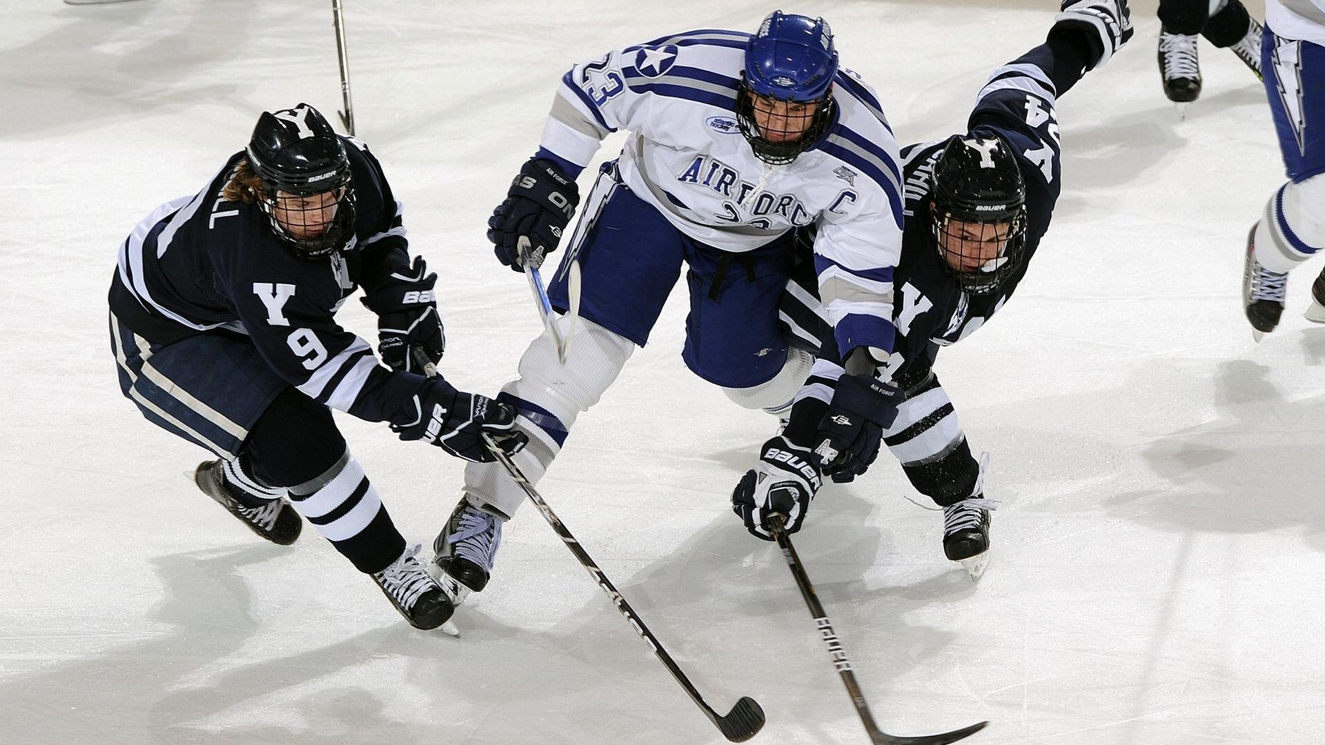 F1年度争冠焦点战,深圳队如何从灰熊口中带走胜利?